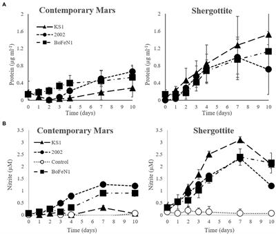 Oligotrophic Growth of Nitrate-Dependent Fe2+-Oxidising Microorganisms Under Simulated Early Martian Conditions